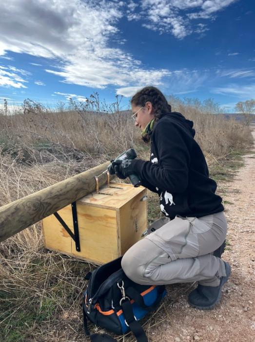 Una trabajadora de GREFA en el momento del ensamblaje de una caja nido para pequeñas rapaces al poste de madera en el que se sujetará el nidal una vez instalado en el valle del Rituerto.