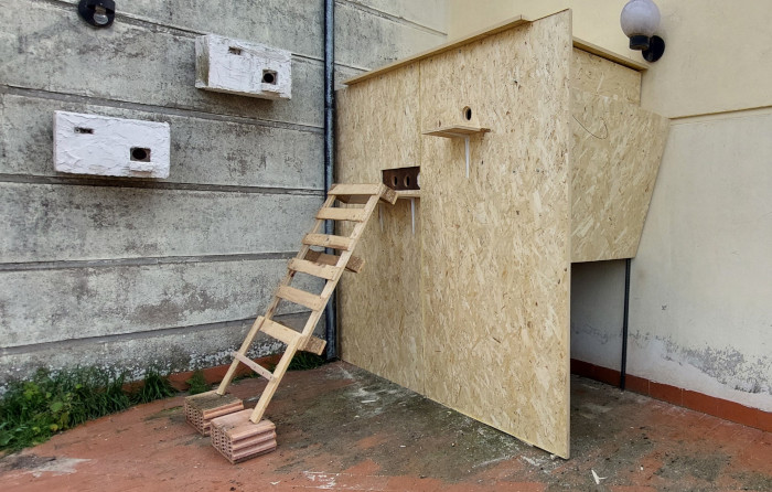 El dispositivo de "hacking" de cernícalo primillas una vez finalizado. Foto: José María Ayala.