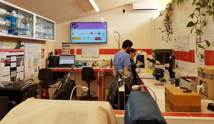 Laboratorio de GREFA, donde se han realizado algunas acciones del proyecto sobre microplásticos apoyado por la Fundación Montemadrid y CaixaBank