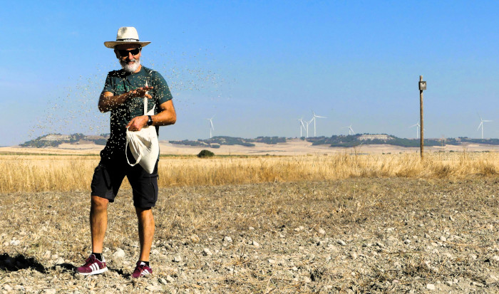 Participante en la siembra a voleo de centeno celebrada durante la Fiesta de la Sementera.