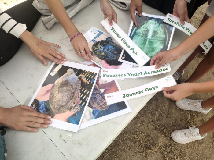 Participantes en nuestro juego sobre identificación de las causas de ingreso de los galápagos autóctonos en el Hospital de Fauna Salvaje de GREFA.