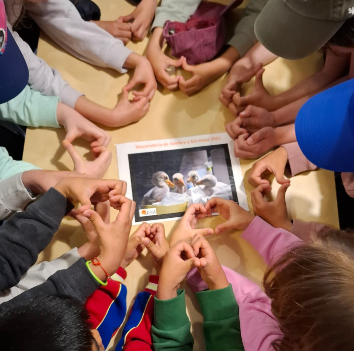 Escolares durante una vista a nuestro centro patrocinada por Naturgy