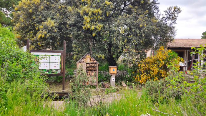 Las instalaciones de educación ambiental de GREFA se ubican en Majadahonda (Madrid).