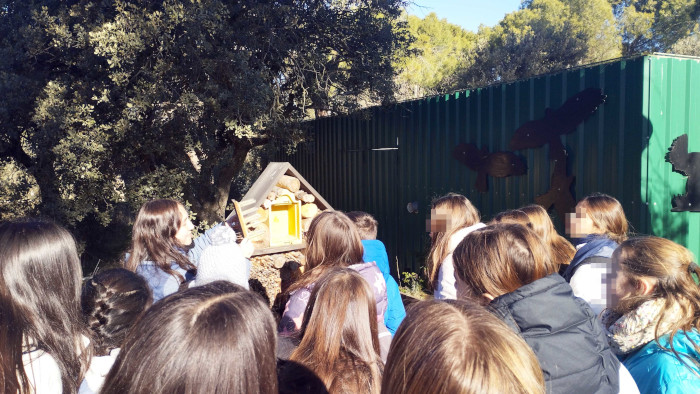 Una educadora de GREFA realiza una actividad para un grupo de escolares delante de un "hotel" de insectos.