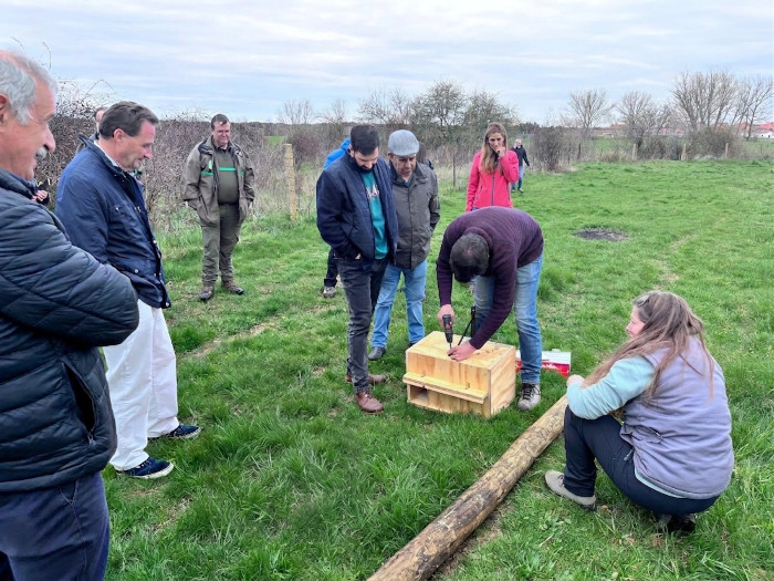 Instalación de una caja nido para lechuza común en la finca experimental “Muñovela”.