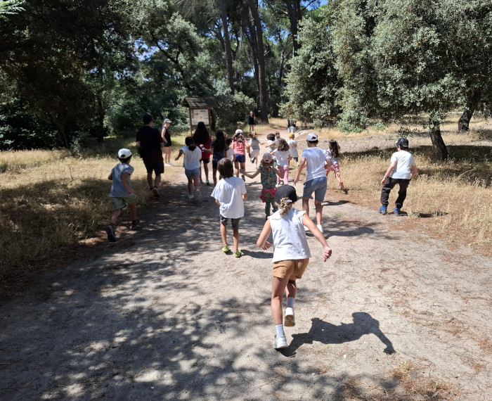 Actividad al aire libre en el Monte del Pilar (Majadahonda, Madrid), en una edición anterior de los Campamentos de Verano de GREFA.