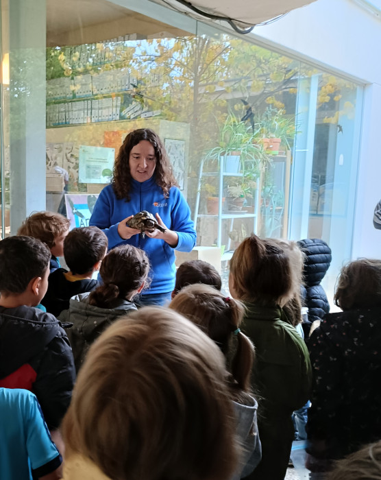Una educadora ambiental de GREFA muestra una tortuga de tierra autóctona a varios niños.