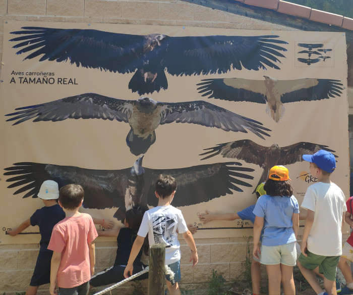 Varios niños contemplan un mural sobre rapaces necrófagas.