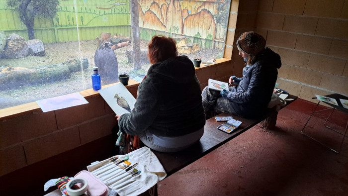 Acuarelistas dibujan buitres en nuestro recinto dedicado a las rapaces necrófagas.