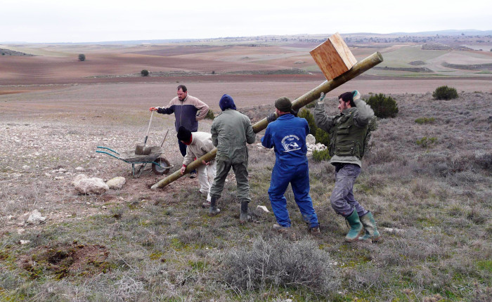Momento de la colocación de una caja nido para cernícalo vulgar.
