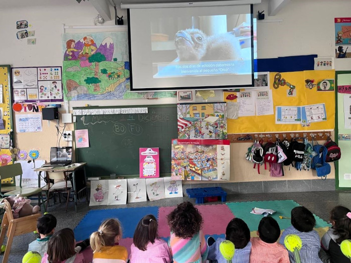 Escolares del CRA ‘El Pizarral’ aprenden sobre el buitre negro “Orco”, nacido en GREFA.