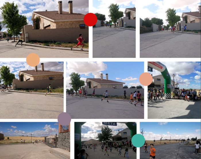 Distintos momentos de la Carrera Solidaria a favor de GREFA.