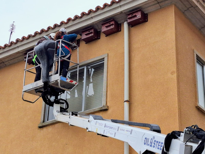 Instalación de nidales para cernícalo primilla en el Centro de Salud de Santa María la Real de Nieva (Segovia).