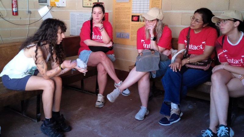 Los empleados de Intact Insurance participantes en la jornada de voluntariado corporativo pudieron conocer cómo se realiza el anillamiento de un pollo de cernícalo primilla.