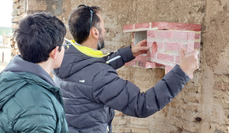 Darío con su padre durante la revisión de una caja nido para cernícalo primilla en la torre de una iglesia de Écija (Sevilla). Foto: GREFA Andalucía.
