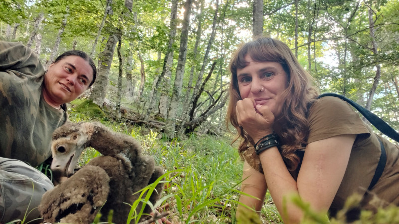 Ana Saez (a la izquierda) y Luisa Abenza, del Proyecto Monachus de GREFA, con el pollo de buitre negro rescatado tras la muerte de "Arzá".