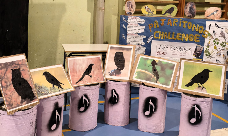 Colaboramos con recursos educativos en una feria sobre ciencias de un colegio de Collado Villalba