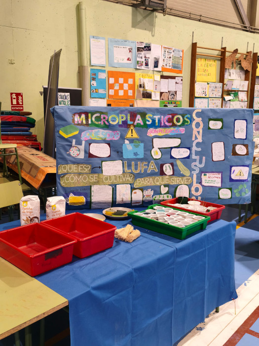 Durante la Feria de Ciencia se pudieron ver imágenes ampliadas de distintas partes de insectos.