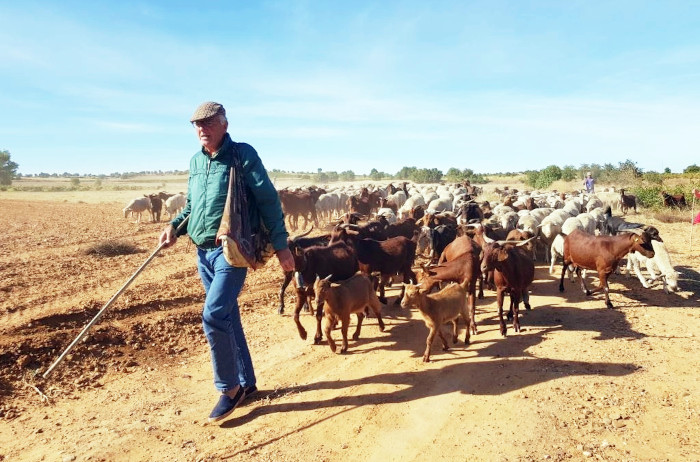 Jesús Garzón, Premio GREFA - 45 Aniversario a título póstumo, con las cabras y ovejas de su proyecto pionero trashumante en 2018. Foto: Trashumancia y Naturaleza.