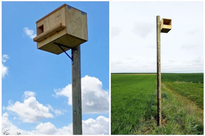 Caja nido para lechuza instalada en Revenga de Campos (Palencia), a la izquierda, y nidal para cernícalo vulgar ubicado en Villovieco (Palencia), a la derecha.