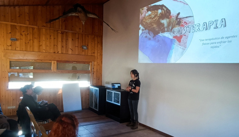 Virginia Moraleda, de GREFA, durante la sesión teórica de prácticas de fisioterapia en el Centro de Fauna Salvaje de Vallcalent (Lleida).