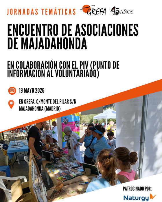 Póster anunciador de la jornada.