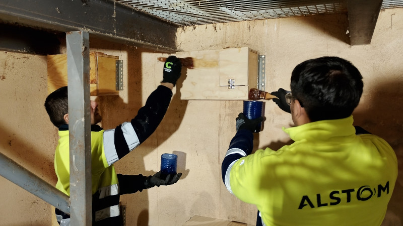 Dos empleados de Alstom dan los últimos retoques a unas cajas nido instaladas en el primillar de Pinto (Madrid).