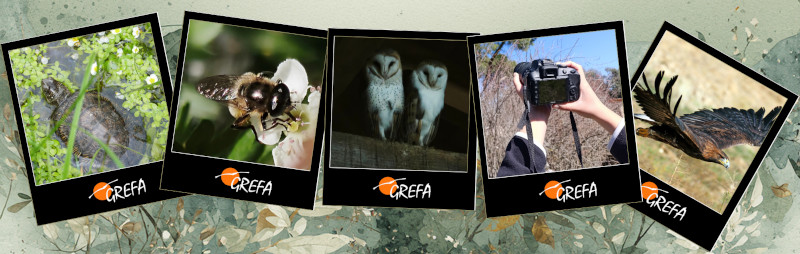 Concurso de fotografía
