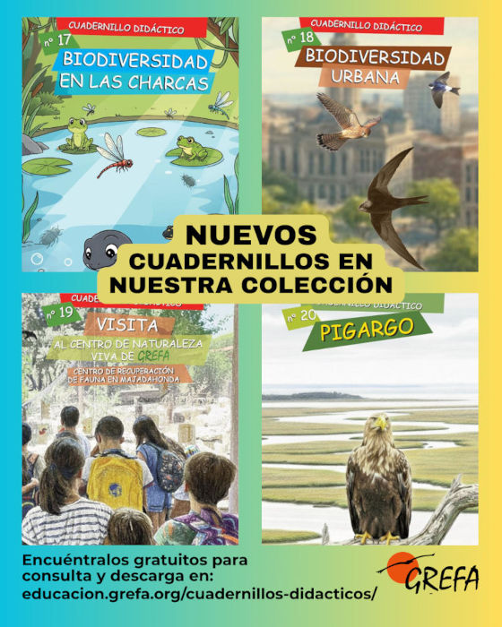 Portadas de los nuevos cuadernillos didácticos de GREFA.