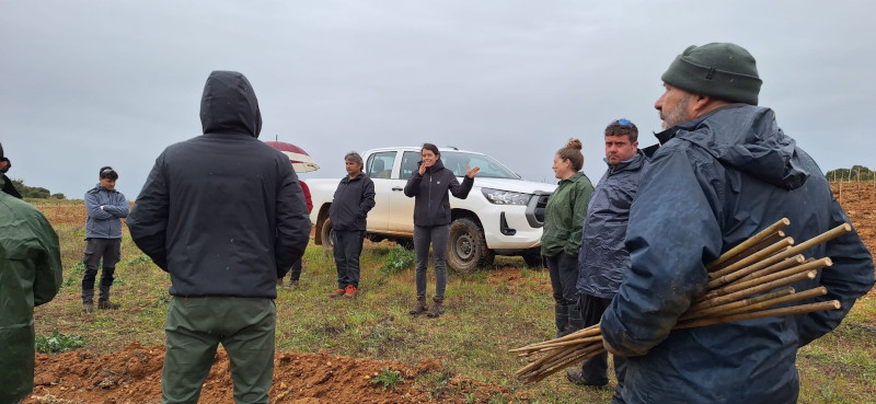 Personal de GREFA y de Bodega Numanthia al inicio de la jornada de trabajo de campo en Venialbo (Zamora). Foto: Bodega Numanthia.
