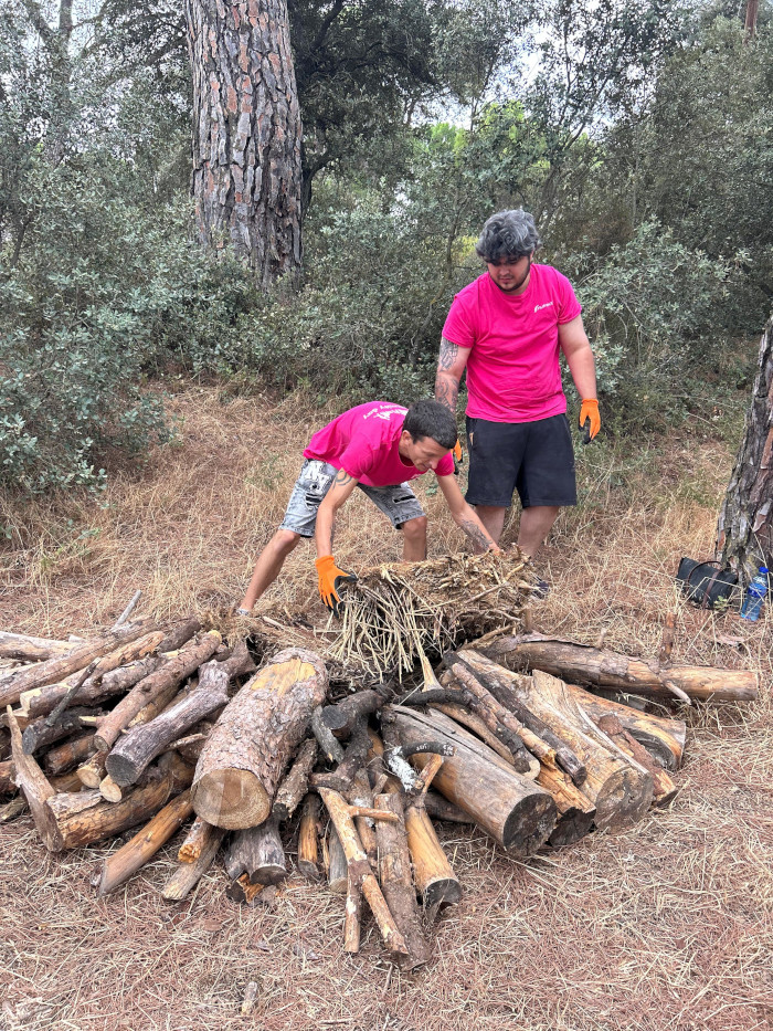 Trabajadores de Nutreco recogiendo leña dentro de la jornada de voluntariado.