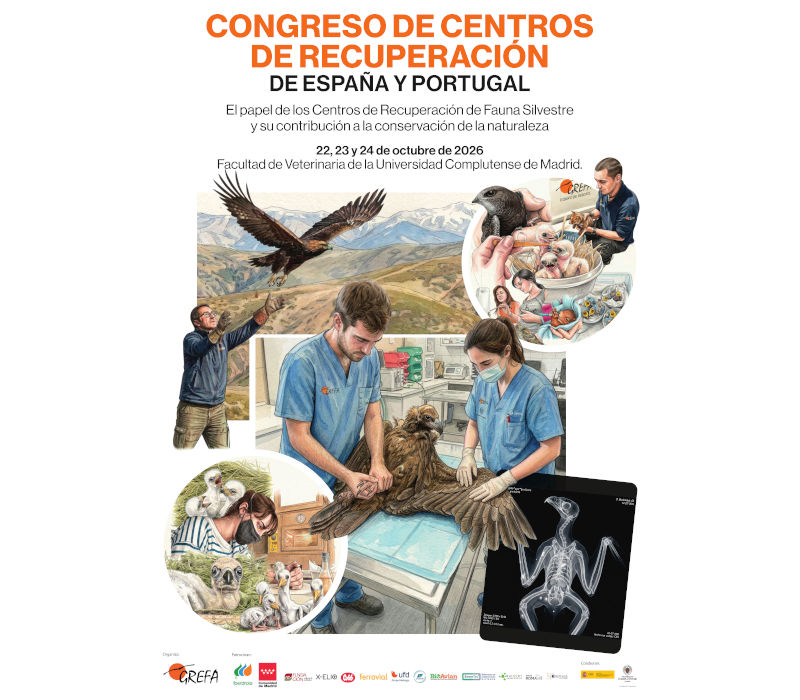 Cartel congreso de centros de recuperación