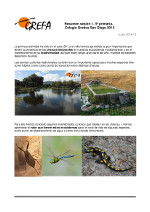 Los alumnos de 5º de primaria aprenderán sobre la biodiversidad de las charcas y la conservación del galápago europeo.