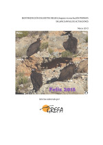 Informe 2014 buitre negro en Pirineos (Castellano)