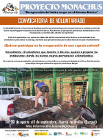 voluntariado demanda