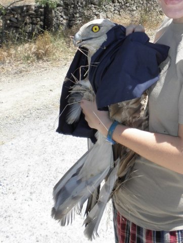 Equipo de rescate de fauna salvaje