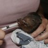 Voluntarios y amigos de GREFA &raquo; Samarta Saiz
