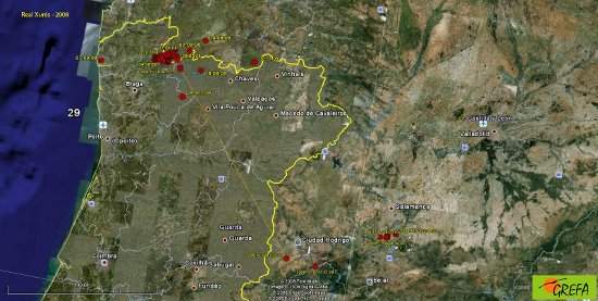 Primeros recorridos de eufemia fuera del area de reintroduccion, antes de caer abatida 