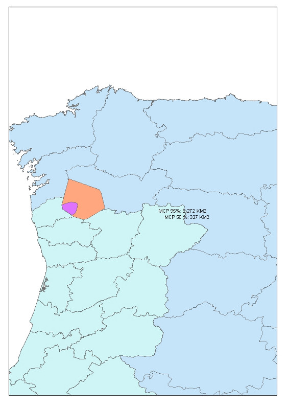 Area de campeo total y de uso intensivo de eufemia, águila real