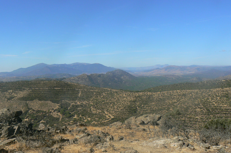 Entorno de la colonia de buitre negro en la sierra suroeste de Madrid