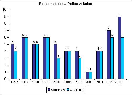 Pollos nacidos / Pollos volados