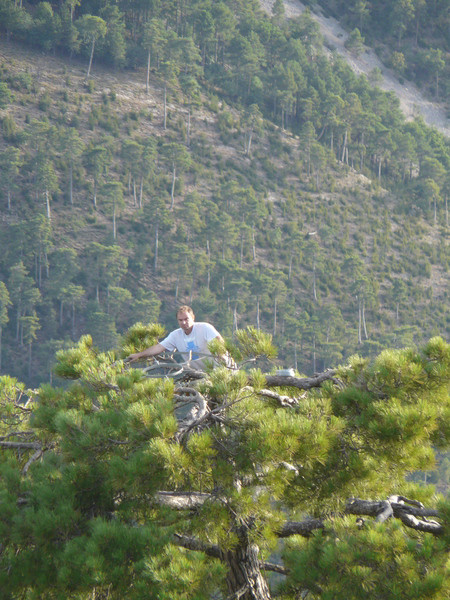 Colocacion de plataforma para facilitar la nidificacion de los buitres negros