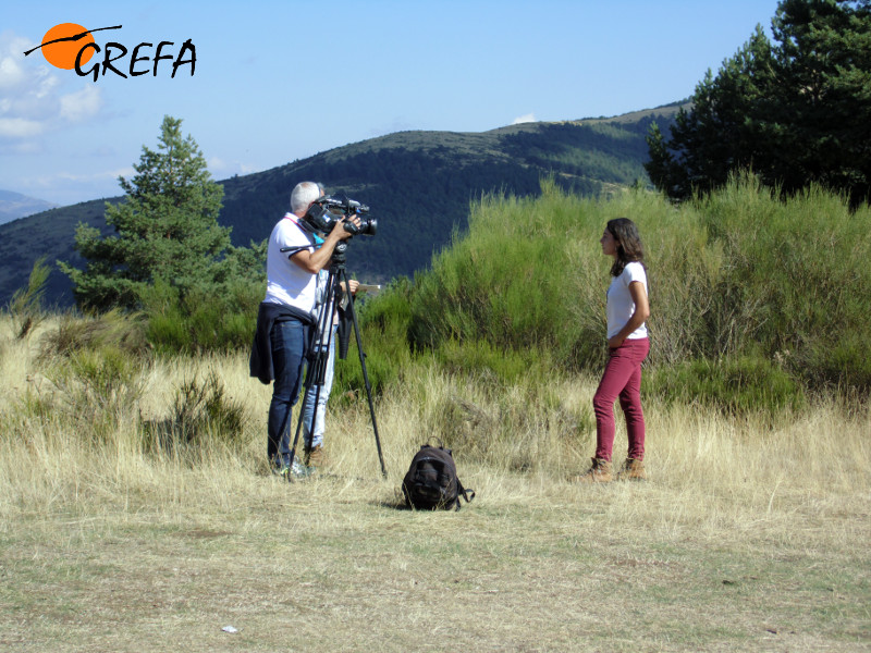 Entrevista a Lorena Juste