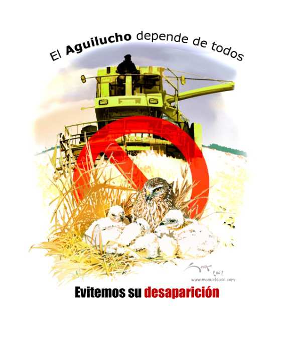 El aguilucho depende de todos