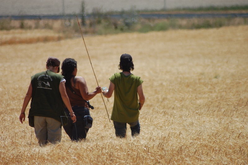 Voluntarios