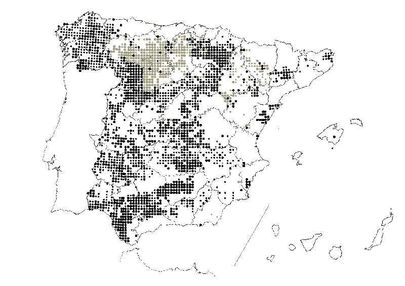 Distribución del Aguilucho cenizo (Circus pygargus). (Extraído de: Atlas de Aves Reproductoras de España; SEO-BirdLife/MIMAM, 2003)