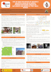 Use of shelter boxes by weasels Mustela nivalis in cereal agroecosystems predator influence and birds of prey nestboxes ICBA 2026