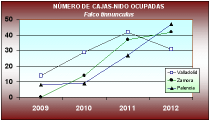 Fig. 3: Resultados de los censos realizados a vehículo para F.tinnunculus. Se observa como las zonas tratamiento (con cajas nido) han aumentado la abundancia de esta especie.