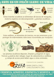 PILÓN fauna acuatica