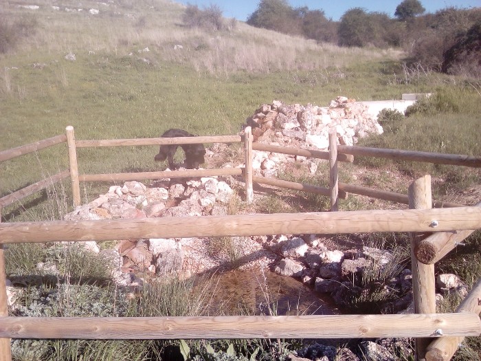 Obra de instalación de abrevadero y charca para anfibios en la provincia de Segovia 2020.